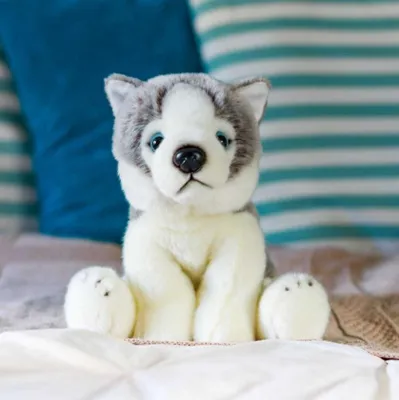 Produktbild von Husky Hund Animigos Kuscheltier