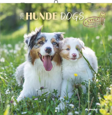 Produktbild von Alpha Edition - Hunde Kalender 2026 - Wandkalender 30x30 cm für Hundeliebhaber - 6-sprachiges Kalendarium mit Feiertagen & Ferienterminen, Monatsübersichten & viel Platz für Notizen, Ringbindung