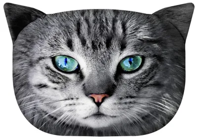 Produktbild von Dekokissen Soffakissen CAT »Fryc« PT09