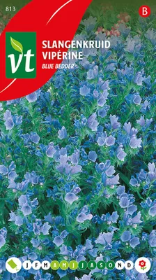Immagine prodotto di Semi di Viperine Blue Bedder - Circa 1 gr | VT_813