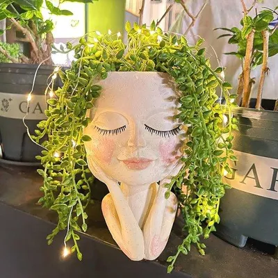 Produktbild von Famanu Blumentopf mit Lichtkette und Gesicht - Solarenergie