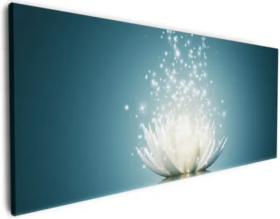 Produktbild von Wallario Premium Leinwandbild Lotosblüte auf Wasser in Größe 50 x 125 cm