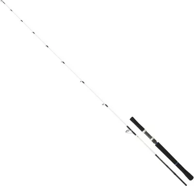 Produktbild von Daiwa Saltist Off Shore Jiggingrute 1.91 m / 90-210 g 1.91 m