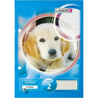 Produktbild von Schulblock A5 50 Blatt 80 g/qm 2-fach gelocht Lineatur 2