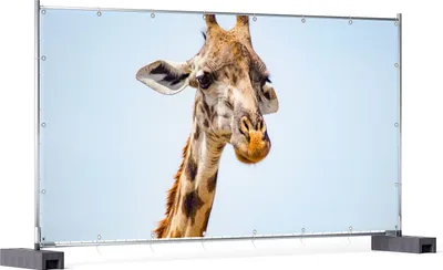 Produktbild von Wallario XXL Outdoor-Poster für Garten oder Balkon, Motiv Nahaufnahme einer Giraffe, in ca. 340 x 173 cm