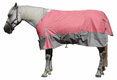 Productafbeelding van Pferddecke 1200D met 200g/m² vulling, waterdicht en ademend, rosagrau 130cm