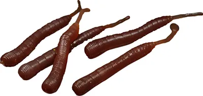 Produktbild von Eisele Soft Bait Wattwurm Doppelgänger
