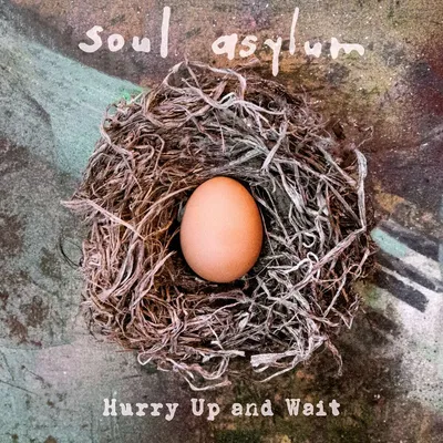 Obrázok produktu pre Soul Asylum: Hurry Up And Wait