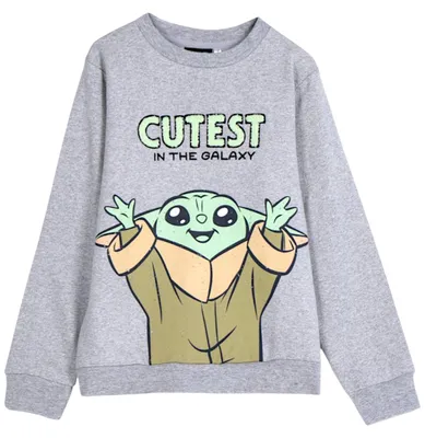 Produktbild von Sweatshirt Star Wars  Grau 158 cm