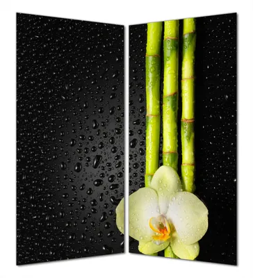 Produktbild von Wallario selbstklebende Duschrückwand 160 x 180 cm mit Motiv Grüne Orchidee mit Bambus auf schwarz - Regentropfen - Wandverkleidung mit Hochglanzlaminat in Glasoptik