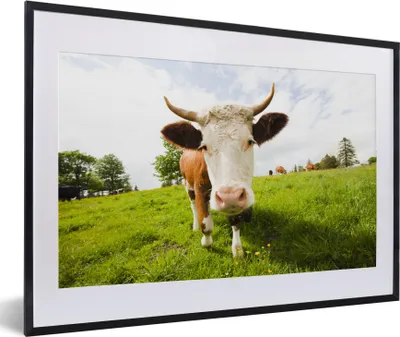 Produktbild von MuchoWow® MuchoWow® Gerahmtes Poster Kuh - Licht - Schatten 60x40 cm - Poster mit zchwarzem Bilderrahmen - Schlafzimmer - Plakat in Rahmen - Drucken