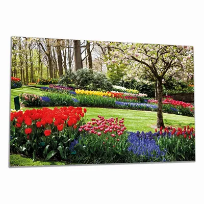 Produktbild von Wallario Herdabdeckplatte aus Glas, Größe 90 x 52 cm 1-teilig, Motiv Bunte Blumen und Kirsch-Baum im Park blühen im Frühling