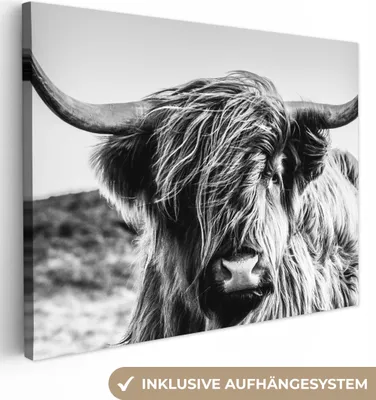 Produktbild von MuchoWow® - Leinwandbilder - Kuh - Schottischer Hochländer - Schwarz - Weiß - Tier - Natur - Wildtiere, Wandbild, Wanddeko Bilder Wohnzimmer, 120x90cm