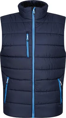 Produktbild von Regatta Professional TRA892 | Herren Navigate Thermal Bodywarmer - Farbe: Navy/French Blue - Größe: 3XL