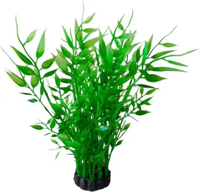 Zdjęcie produktu dla Aquael Roślina Kępkowa Cp-035 8 (20Cm)