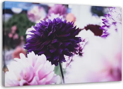 Produktbild von Leinwandbild dahlien 60x40 cm Feeby lila wandbild bereit zum aufhängen