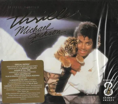 Image de Thriller