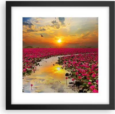 Produktbild von Gerahmtes Poster - Schwarzer Rahmen - See Blumen - 30x30 cm - Wand Bild - Wanddeko - Wandbilder - Kunstposter - Wandposter - Bilderrahmen - Bilder - Kunstdruck - Wandbild - P2BAC30x30-3769