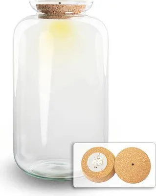 Obrázek produktu pro Skleněná zahrada v láhvi + LED osvětlení v korkovém obalu ↕43 cm – nenáročná skleněná zahrada, rostlinné terárium do obývacího pokoje a kanceláře