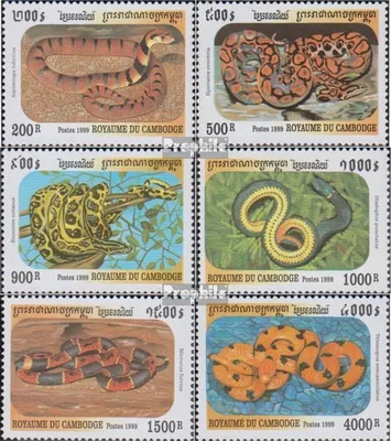 Produktbild von Briefmarken Kambodscha 1999 Mi 2012-2017 (kompl.Ausg.) postfrisch Schlangen