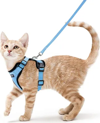Image de Collier chat, antibreuk, collier chat, Puppytuigje, réglable, Kattentuigje, doux, Tuigje, pour chats, petits chiens, lapins, réfléchissant, rayé