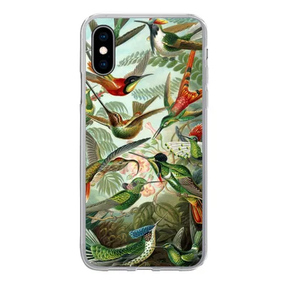 Produktbild von MuchoWow® Handyhülle Schutzhülle Hülle für iPhone X Trochilidae - Alte Meister - Kunst Silikon Softcase Handy Hülle - Handyhülle