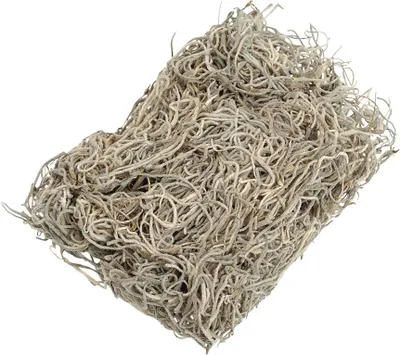 Produktbild von Dschungelgras natur 20 g Packung mit 5 Stück