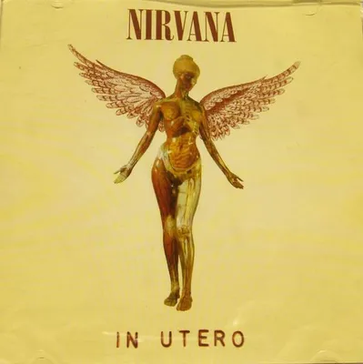 Immagine prodotto di In Utero