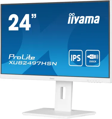 Produktbild von Iiyama ProLite XUB2497HSN-W2