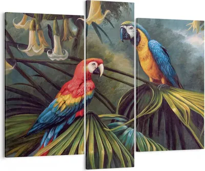 Produktbild von Bild auf Leinwand - Leinwandbild - 3 Teile - Ara Papageien Palmen - 95x80cm - Wand Bild - Wanddeko - Wandbilder - Leinwanddruck - Bilder - Wanddekoration - Leinwand bilder - Wandbild - CB95x80-4780