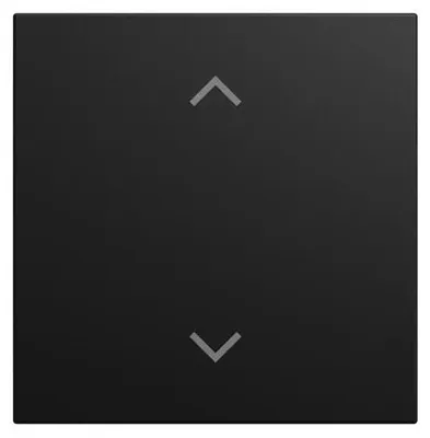 Immagine prodotto di BUSCH JAEGER Copertura a bilanciere singola LFAW/A.1.55.11-915 2CKA006199A0548