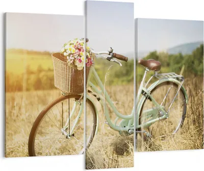 Produktbild von Bild auf Leinwand - Leinwandbild - 3 Teile - Fahrrad Wiese Blumen - 95x80cm - Wand Bild - Wanddeko - Wandbilder - Leinwanddruck - Bilder - Wanddekoration - Leinwand bilder - Wandbild - CB95x80-4206