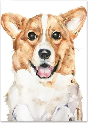 Produktbild von TPFLiving Kunstdruck LW-1010 (OHNE RAHMEN) Poster - Leinwand - Wandbild - Hochauflösender Giclée-Druck, langlebig und hochwertig - Hunde, Herz und Regenbogen für Kinderzimmer -  - Größe: 20x25cm
