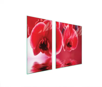 Produktbild von Glasschutzplatte Für Herd 90X52 Orchidee