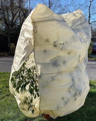 Image de Cache-plante Famanu – Résistant à l'hiver et avec espace de rangement