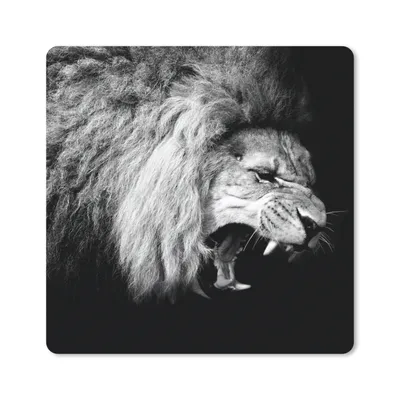 Produktbild von MuchoWow® Mauspad Mousepad Löwe - Porträt - Schwarz - Weiß - Tiere 30x30 cm - Mousepads - Maus Mat - Pad - Mausunterlage - Gaming