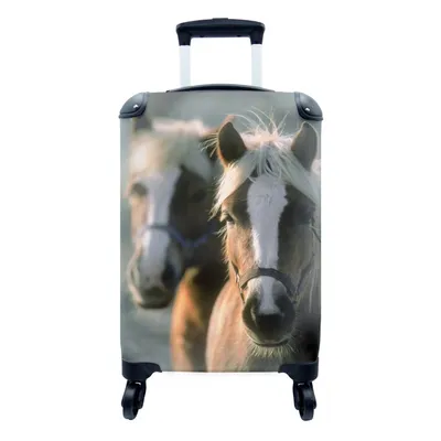 Obrázek produktu pro Kufr Příruční zavazadlo na kolečkách Malý cestovní kufr na 4 kolečkách Dva koně plemene hafling - Velikost kabiny < 55x40x23 cm a 55x40x20 cm -