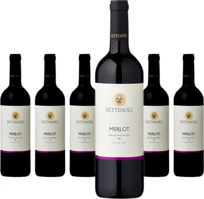 Produktbild von 6 x Settesoli Merlot