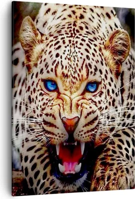 Produktbild von Bild auf Leinwand - Leinwandbild - Einteilig - Panther Tier - 50x70cm - Wand Bild - Wanddeko - Wandbilder - Leinwanddruck - Kunstdruck - Wanddekoration - Leinwand bilder - Wandbild - PA50x70-3506