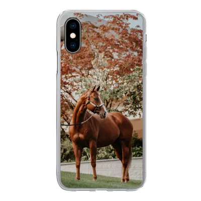 Produktbild von MuchoWow® Handyhülle Schutzhülle Hülle für iPhone X Pferd - Baum - Halfter Silikon Softcase Handy Hülle - Handyhülle