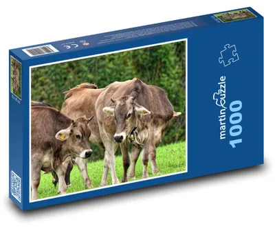 Zdjęcie produktu dla martinpuzzle - Puzzle 1000 - Krowy - farma, zwierzęta