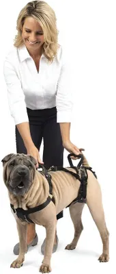 Produktbild von Famanu Vollkörper-Hundeharnisch - Atmungsaktives Material