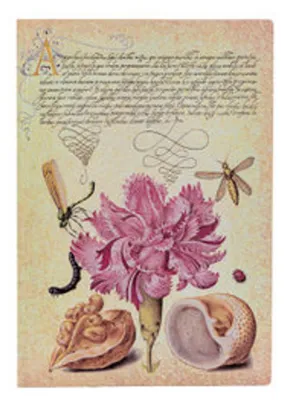 Produktbild von Flexi-Notizbuch mit liniertem Einband in Rosa (Mira Botanica) (mit Gummibandverschluss)