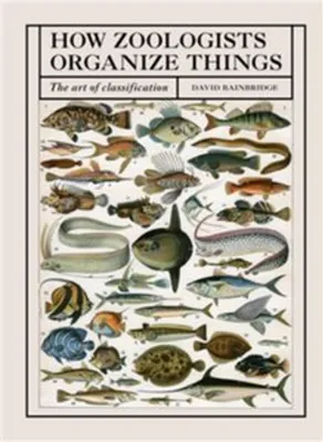 Image de How Zoologists Organize Things