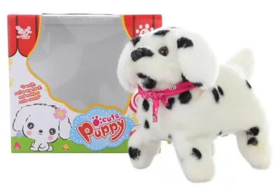 Immagine prodotto di Cane dalmata che cammina e fa le capriole