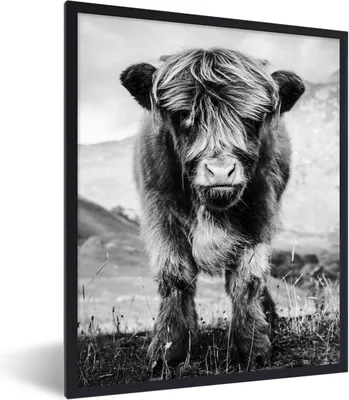 Produktbild von MuchoWow® Gerahmtes Poster Schottischer Highlander - Berg - Schwarz - Weiß 60x80 cm - Poster mit Schwarzem Bilderrahmen Wandposter Rahmen Foto Bilder - Premium - Wanddeko Wohnzimmer