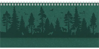 Produktbild von Tisch-Querkalender Nature Line Forest 2026 - Tisch-Kalender
