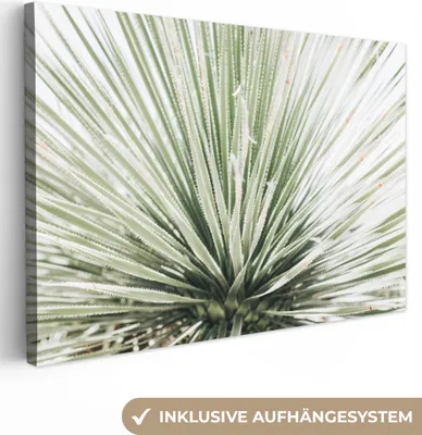 Produktbild von MuchoWow® - Leinwandbilder - Grün - Blätter - Natur, Wandbild, Wanddeko Bilder Wohnzimmer, 60x40 cm