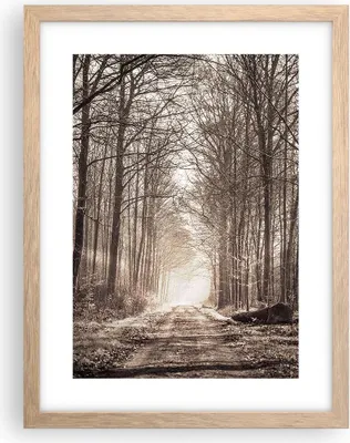 Produktbild von Gerahmtes Poster - Rahmen in heller Eiche - Wald Straße Baum - 30x40 cm - Wand Bild - Wanddeko - Wandbilder - Kunstposter - Wandposter - Bilderrahmen - Bilder - Kunstdruck - Wandbild - P2NPA30x40-3620