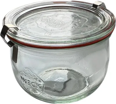 A clear glass jar with a red rubber seal and silver metal clasps, sitting on a white background.